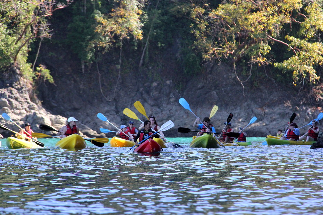 A group of sea kayaks paddling beside the rocky cliffs of Manuel Antonio