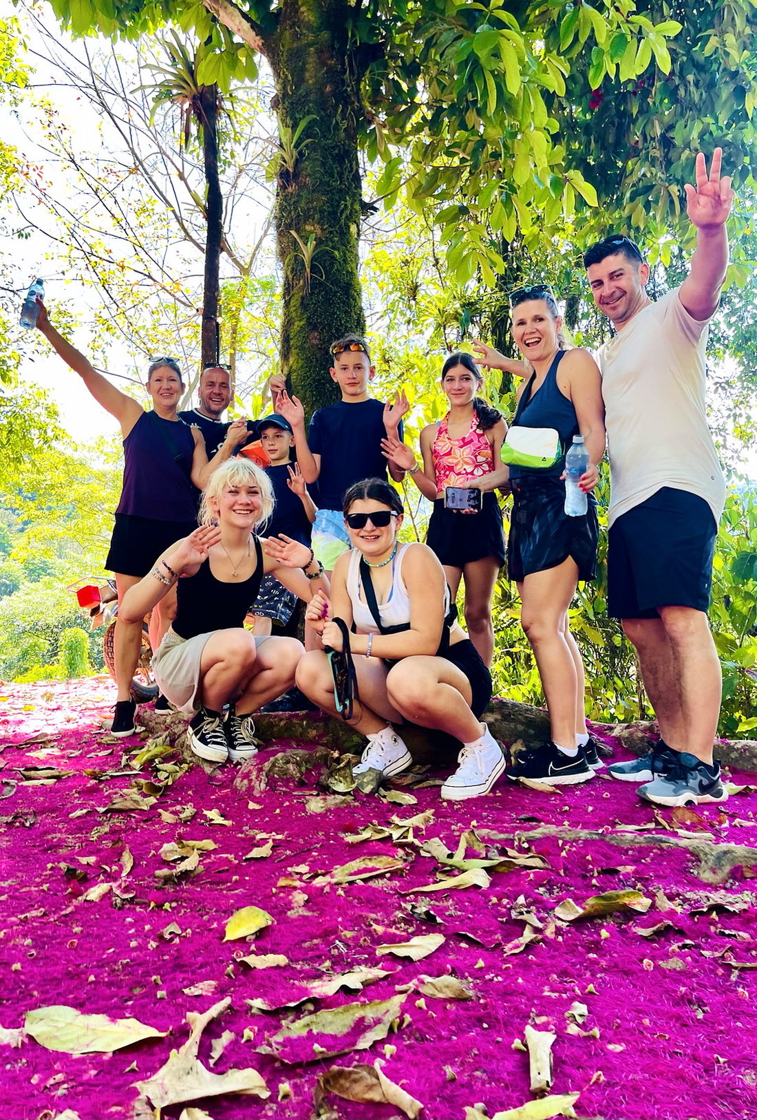 A happy group on a carpet of pink flowers on the rainforest trail