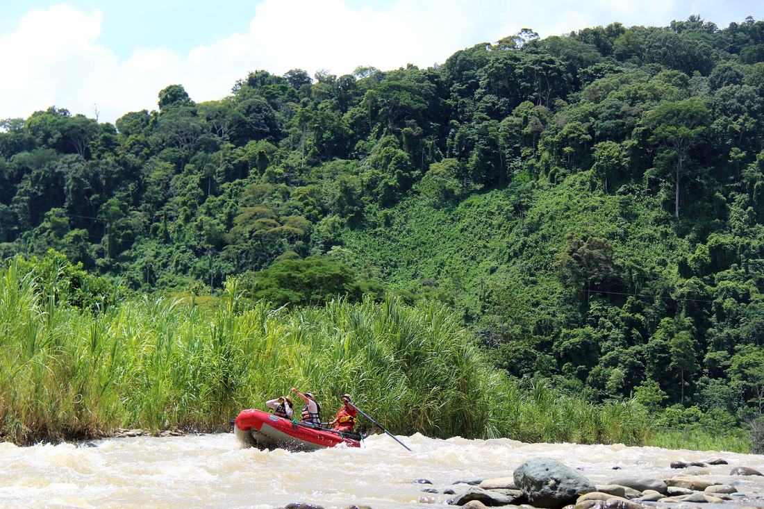 A raft on the Savegre with forested hills behind